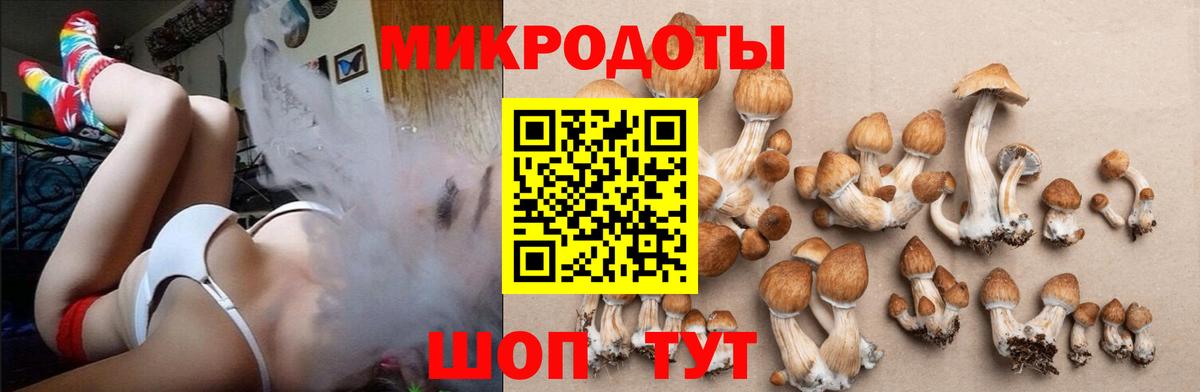 Галлюциногенные грибы мухоморы Дедовск