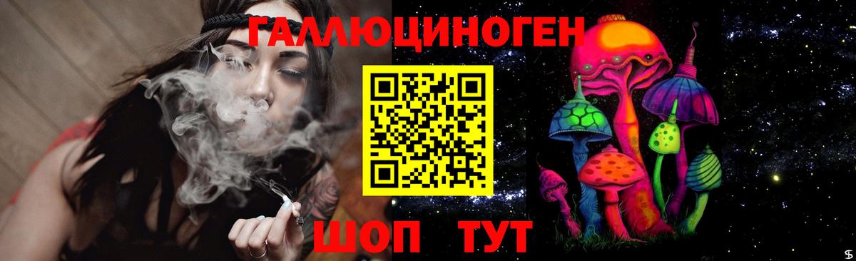 Дедовск  Псилоцибиновые грибы прущие грибы  Вход с VPN 